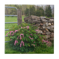Bleeding Heart Tile
