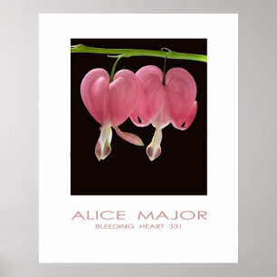 Bleeding Hearts 331 Poster