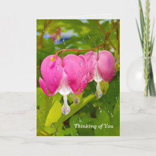 Bleeding Hearts And Raindrops Card