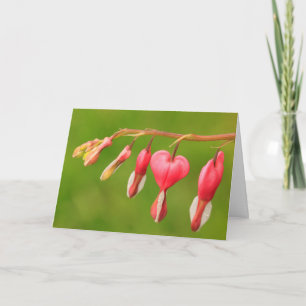 Bleeding Hearts Cancer/Serious Illness Support Card