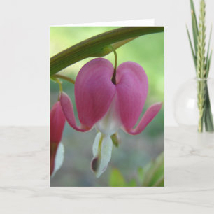 Bleeding Hearts Card