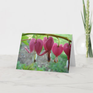 Bleeding Hearts Card