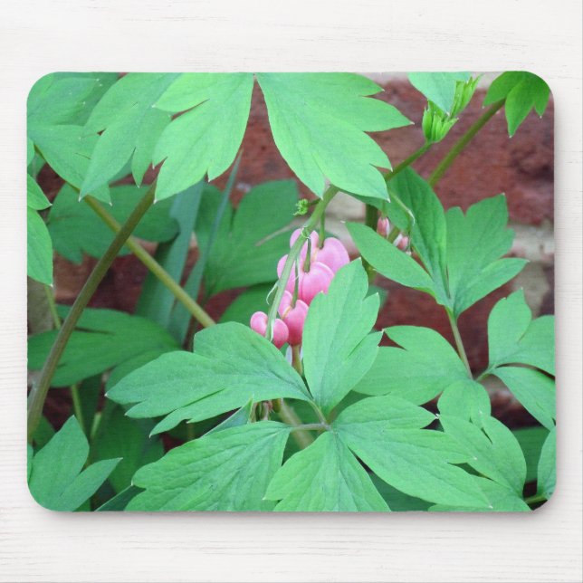 Bleeding Hearts Family Mouse Mat (Front)