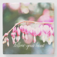 Bleeding Hearts Flowers pink floral photography