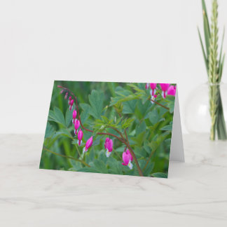 Bleeding Hearts, Greeting Card