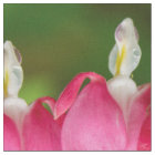 Bleeding Hearts in the Rain Fabric