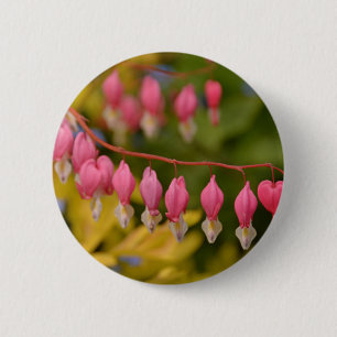 Bleeding Hearts Macro 6 Cm Round Badge