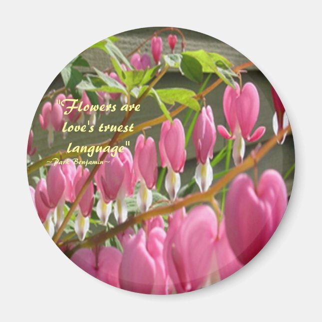 Bleeding Hearts Magnet (Front)