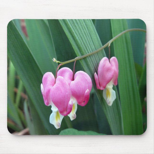 Bleeding Hearts Mouse Mat (Front)