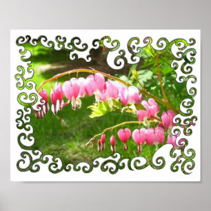 Bleeding Hearts Swirley Poster
