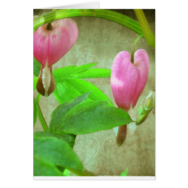 Bleeding Hearts With Texture (Front)