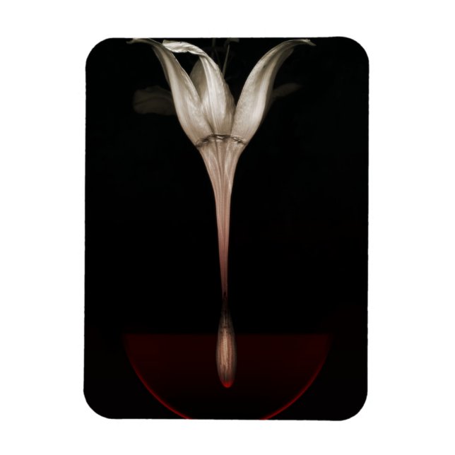 Bleeding lily 2013 magnet (Vertical)