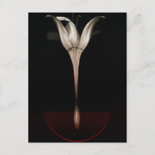 Bleeding lily 2013 postcard