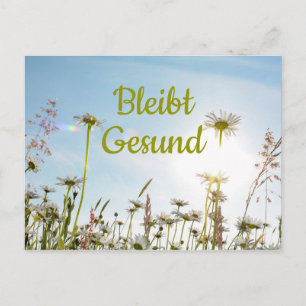 Bleibt Gesund - Postcard