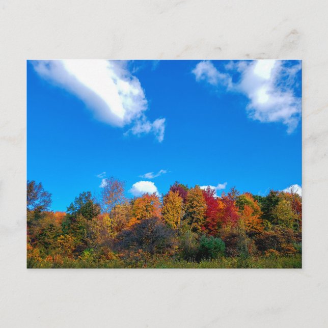 Blendon Woods Metro Park in Fall, Columbus, Ohio Postcard (Front)