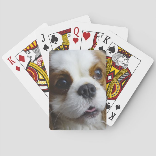 Blenheim Cavalier King Charles Playing Cards (Back)