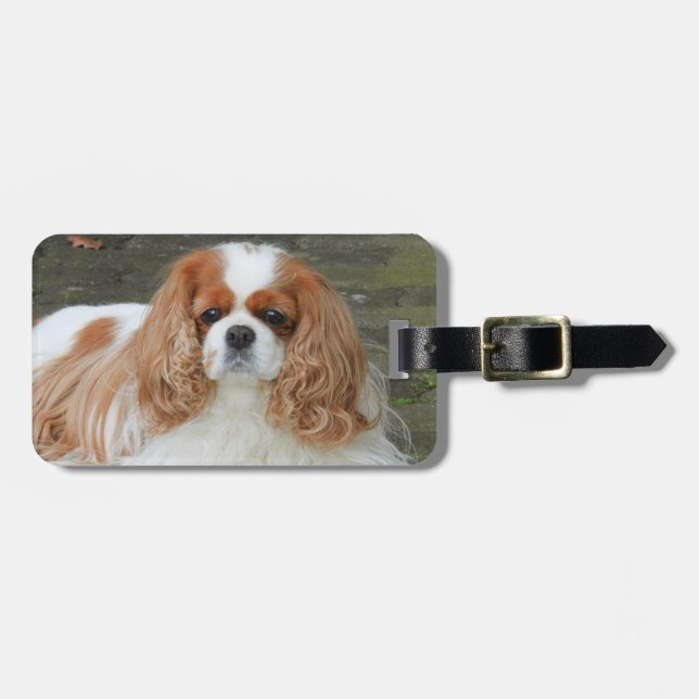 Blenheim Cavalier King Charles Puppy Dog Luggage Tag (Front Horizontal)