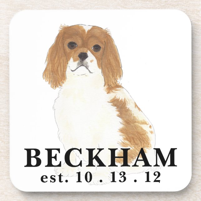 Blenheim Cavalier King Charles Spaniel Coaster (Front)