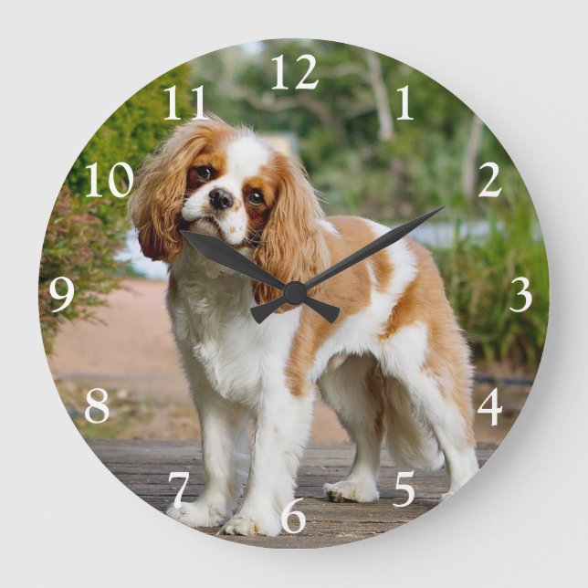 Blenheim Cavalier King Charles Spaniel Dog Large Clock (Front)