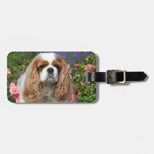Blenheim Cavalier King Charles Spaniel Dog Luggage Tag (Front Horizontal)