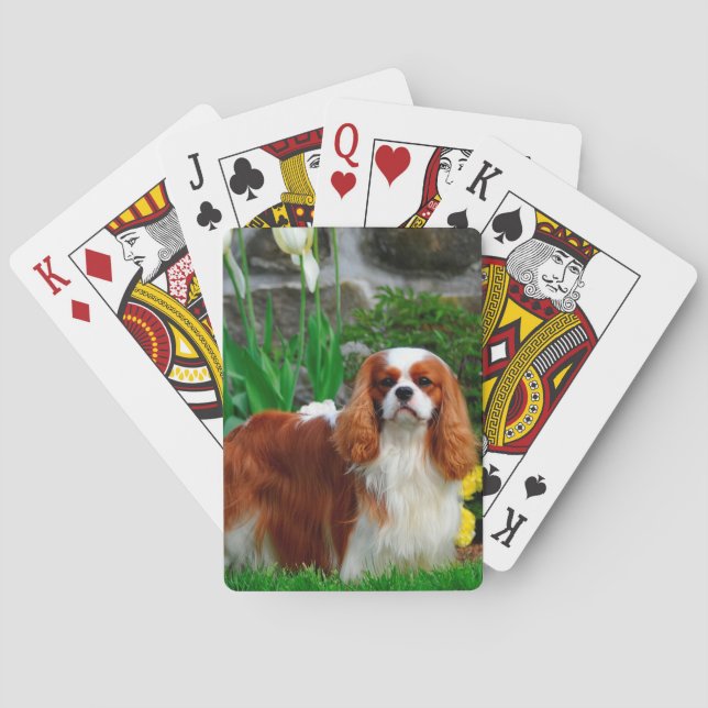 Blenheim Cavalier King Charles Spaniel Dog Playing Cards (Back)