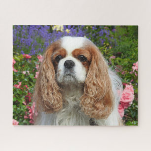 Blenheim Cavalier King Charles Spaniel in Flowers Jigsaw Puzzle