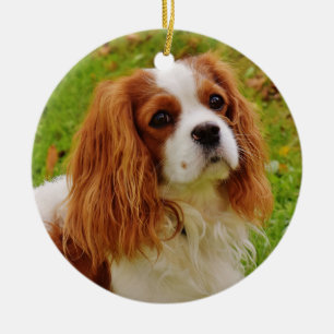 Blenheim Cavalier King Charles Spaniel in Grass Ceramic Tree Decoration