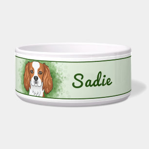 Blenheim Cavalier King Charles Spaniel On Green