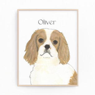 Blenheim Cavalier King Charles Spaniel Photo Print