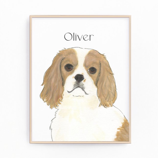 Blenheim Cavalier King Charles Spaniel Photo Print (Creator Uploaded)