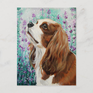 Blenheim Cavalier King Charles Spaniel Postcard