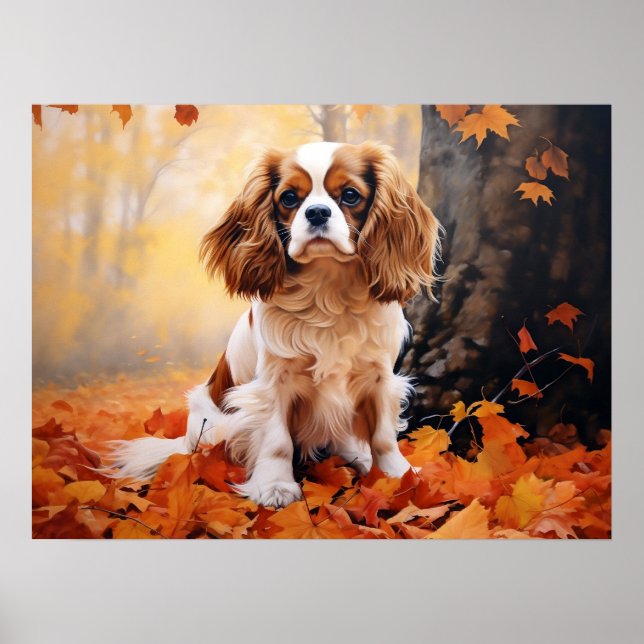 Blenheim Cavalier King Charles Spaniel Poster (Front)