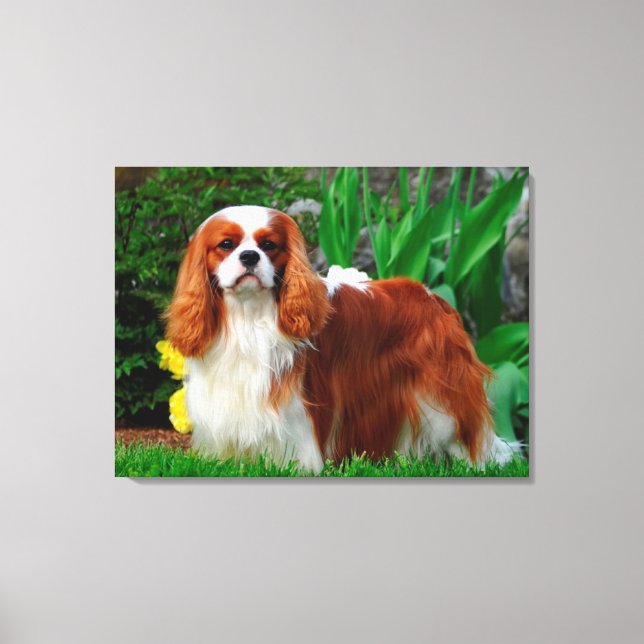 Blenheim Cavalier King Charles Spaniel Puppy Dog Canvas Print (Front)