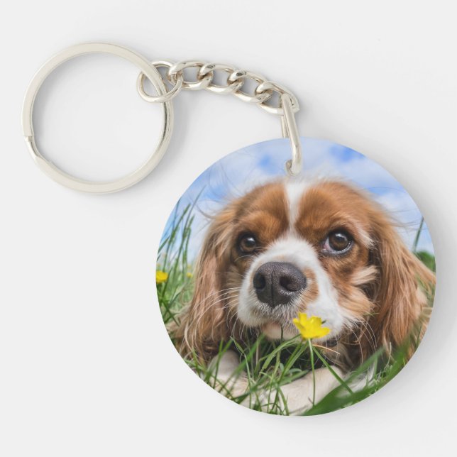 Blenheim Cavalier King Charles Spaniel Puppy Dog Key Ring (Front)
