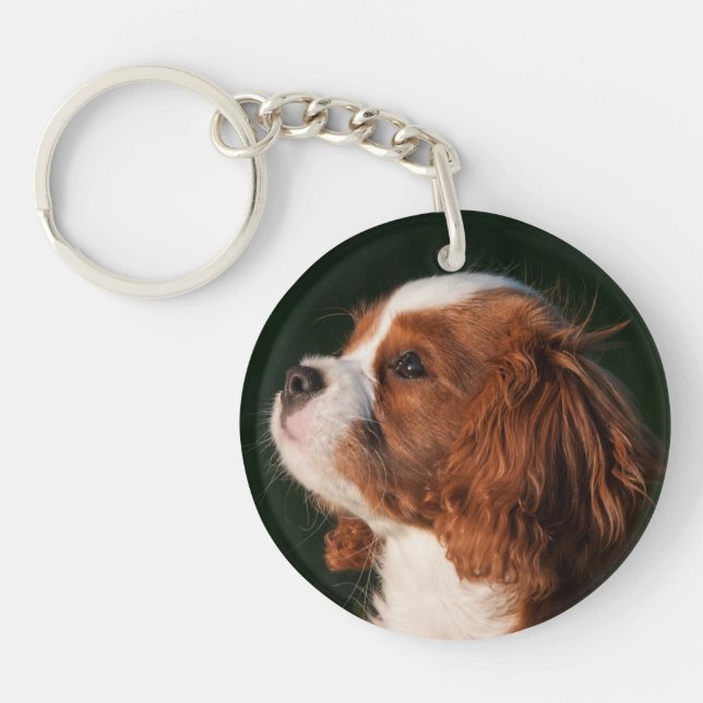 Blenheim Cavalier King Charles Spaniel Puppy Dog Key Ring (Front)