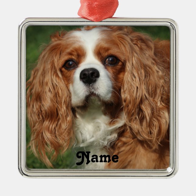 Blenheim Cavalier King Charles Spaniel Puppy Dog Metal Tree Decoration (Front)