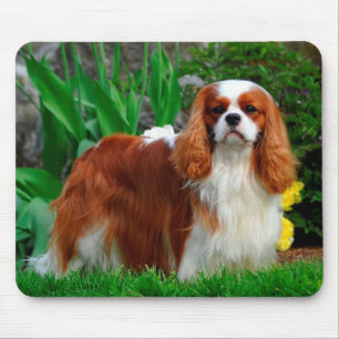 Blenheim Cavalier King Charles Spaniel Puppy Dog Mouse Mat