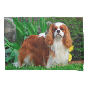 Blenheim Cavalier King Charles Spaniel Puppy Dog Pillowcase