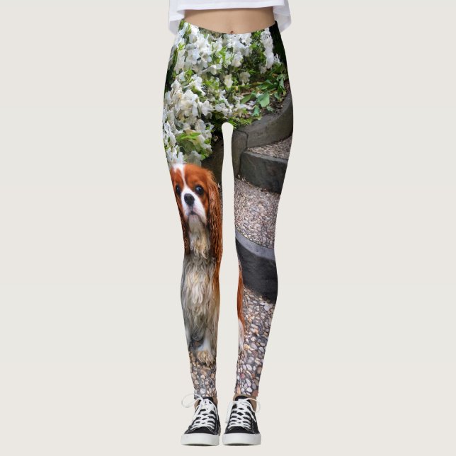 Blenheim Cavalier King Charles White Petals Leggings (Front)