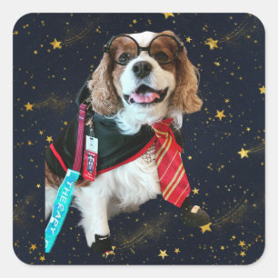 Blenheim Cavalier King Charles Wizard Square Stick Sticker