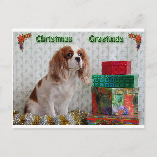 Blenheim Christmas Cavalier Holiday Postcard (Front)