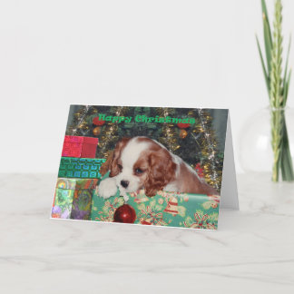 Blenheim Christmas Puppy Holiday Card