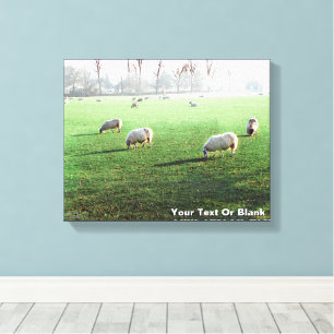 Blenheim Palace Sheep Canvas Print