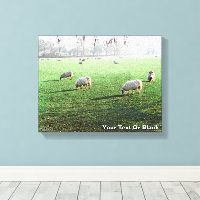 Blenheim Palace Sheep Canvas Print (Insitu(Wood Floor))