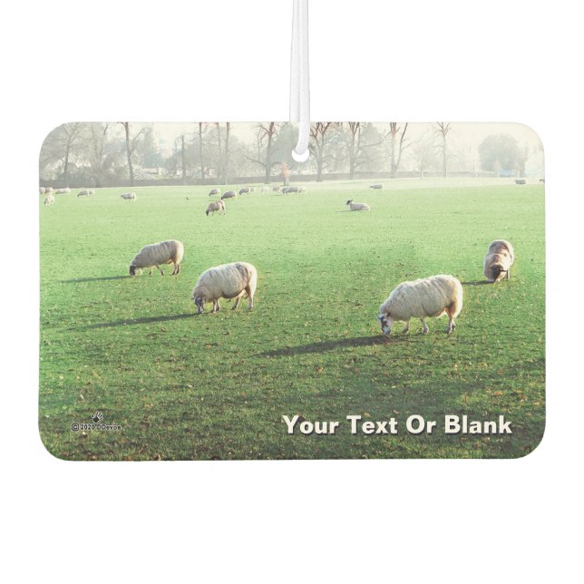 Blenheim Palace Sheep Car Air Freshener (Front)