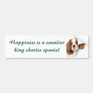 Blenhiem cavalier pup Bumper sticker