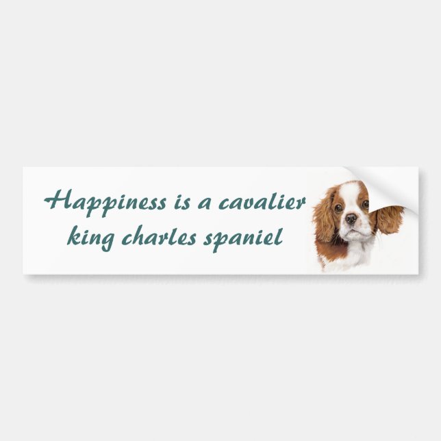 Blenhiem cavalier pup Bumper sticker (Front)