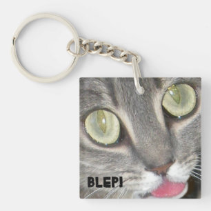 Blep Cat tounge Stickers Key Ring