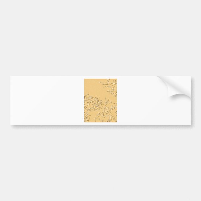 Bless You_ Bumper Sticker (Front)