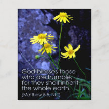 Blessed Are the Meek